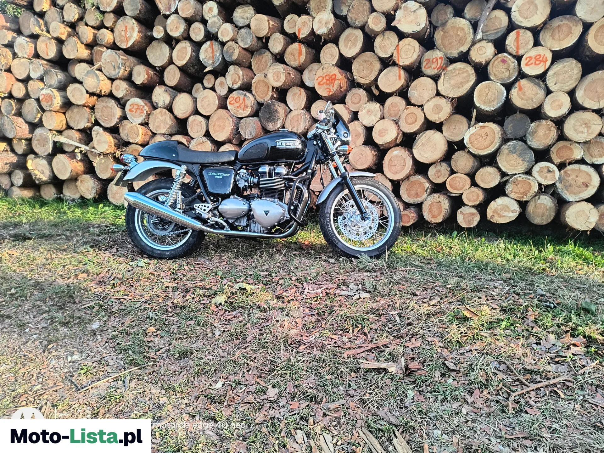 Triumph Thruxton 900 2004