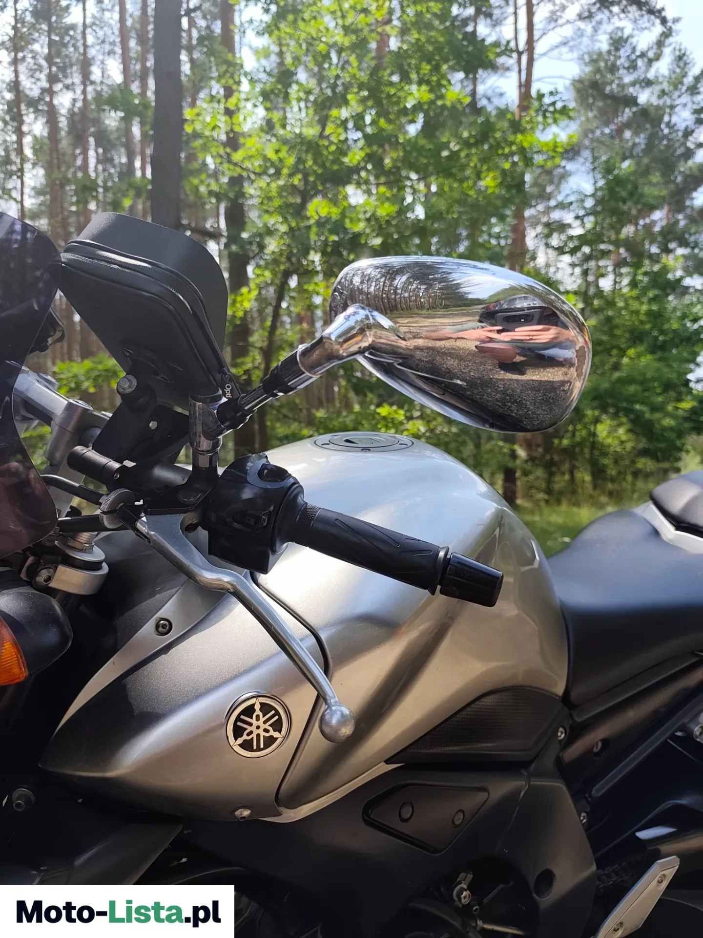 Yamaha FZ1 2006